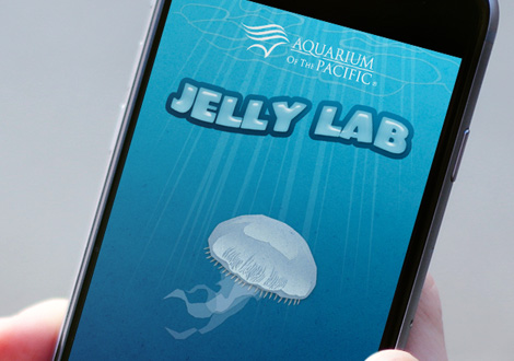 Jelly Lab